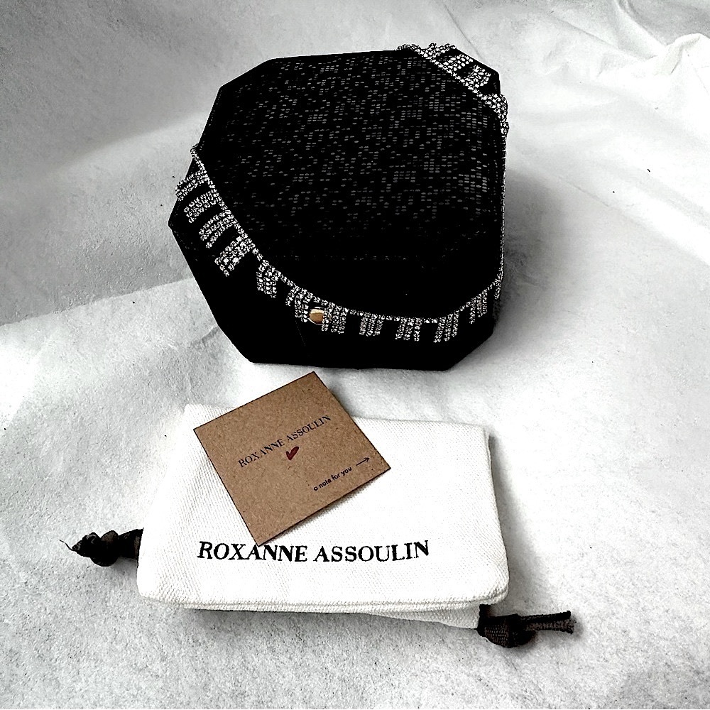 🎉3x HP!🎉 ROXANNE ASSOULIN ✨NWT✨ “On the Fringe” necklace, pouch, & free gift!